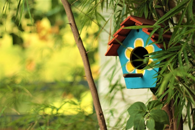Trouver le matériel nécessaire: Comment construire une maison d'oiseau